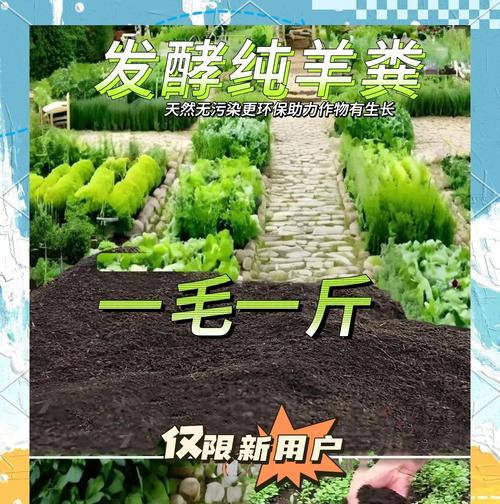 羊粪肥在花卉上的正确使用方法是什么？