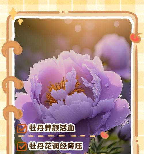 牡丹花通常在什么时间开花？