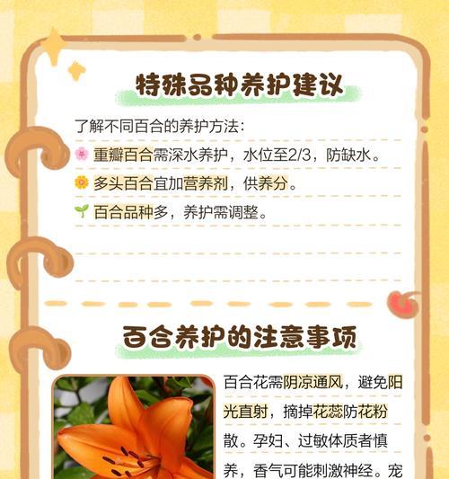 用水养的花有哪些？它们的养护技巧是什么？
