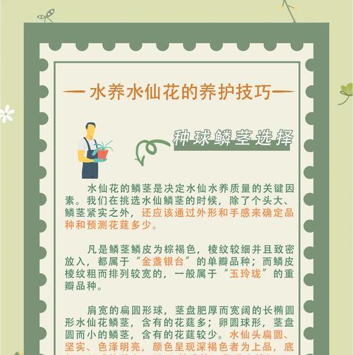 用水养的花有哪些？它们的养护技巧是什么？