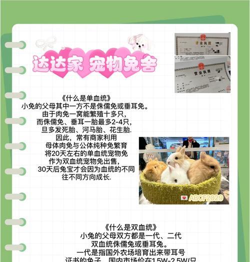 黑兔的正确饲养方法是什么？