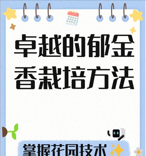 郁金香收种的最佳时机是什么时候？