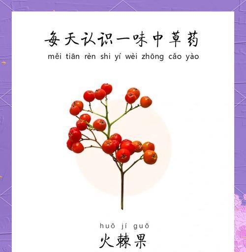 火棘繁殖的正确步骤是什么？