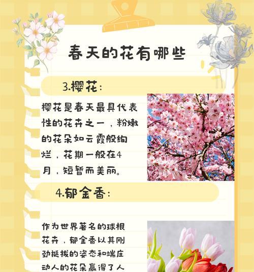 迎春花的养殖方法和注意事项是什么？
