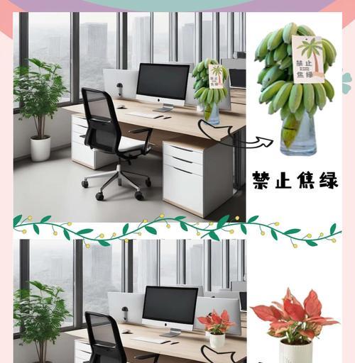 办公室绿植养护的常见问题有哪些？