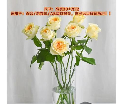 鲜花品种有哪些？如何挑选适合的鲜花？