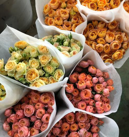 鲜花品种有哪些？如何挑选适合的鲜花？