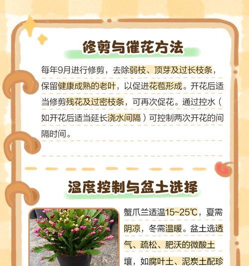 蟹瓜兰夏季养护需要注意哪些事项？