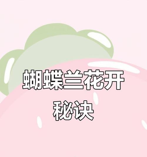 怎么让蝴蝶兰开花？掌握这些技巧轻松绽放！