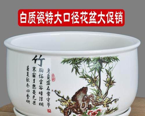 矮花盆适合种植哪些类型的花卉？