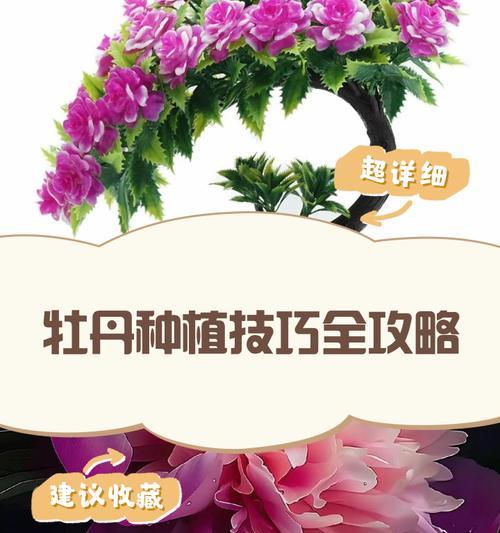 牡丹石榴的种植技巧是什么？