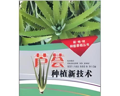 芦荟种子种植方法是什么？