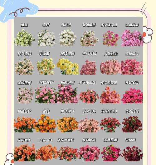 永生花有哪些品种？如何选择适合自己的永生花品种？