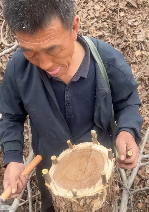 梨树什么时候嫁接？梨树嫁接的最佳时间和方法是什么？