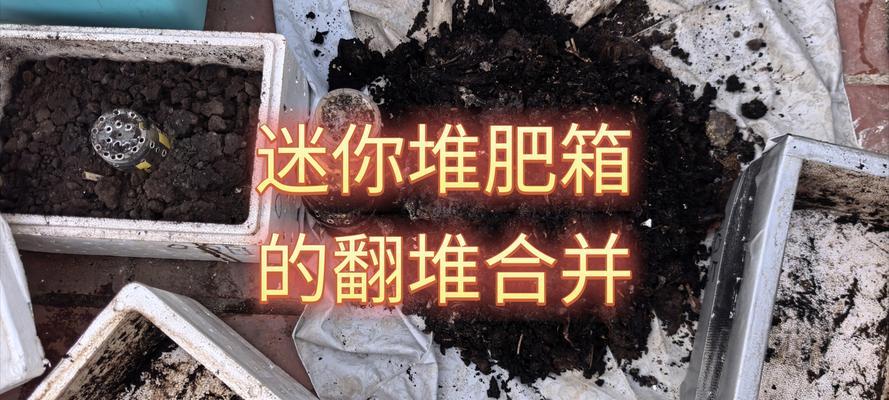 自制花肥臭味怎么消除？如何制作无异味的花肥？