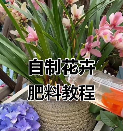自制花肥臭味怎么消除？如何制作无异味的花肥？