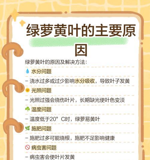 绿萝怎么发黄？绿萝黄叶的原因及解决方法是什么？