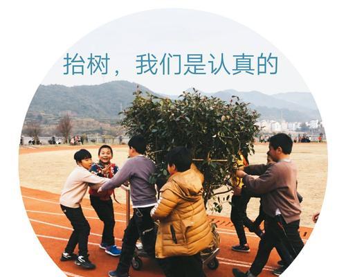 红叶石楠的象征意义是什么？