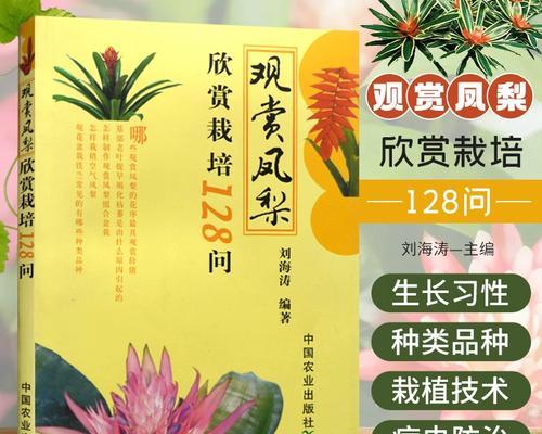 菠萝繁殖的正确方法是什么？