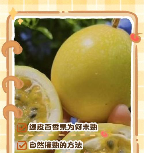 怎么给百香果人工授粉？授粉的正确方法是什么？