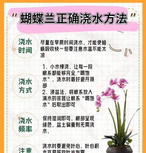 吊兰水浇多了怎么办？吊兰过水处理方法和预防措施是什么？