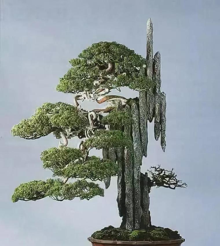 附石盆景制作方法有哪些？