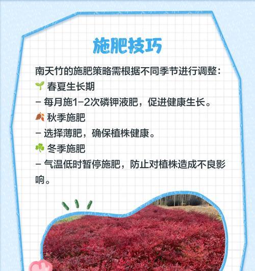 天竹养殖需要注意哪些要点？