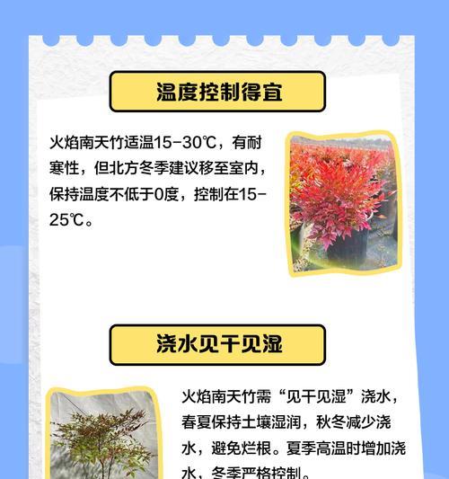 天竹养殖需要注意哪些要点？