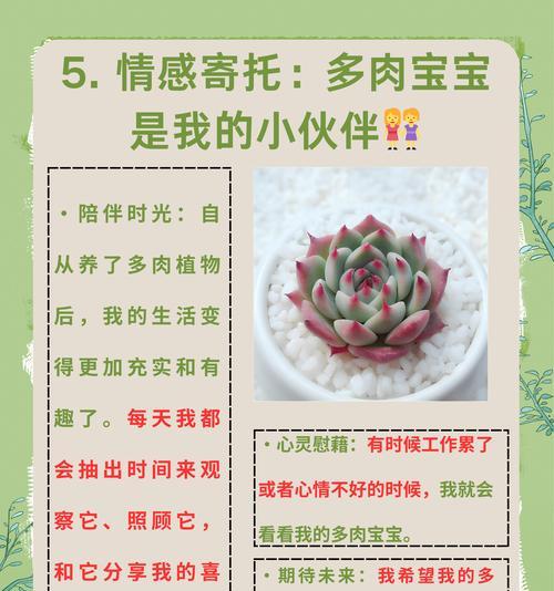多玉植物土栽培的秘诀是什么？
