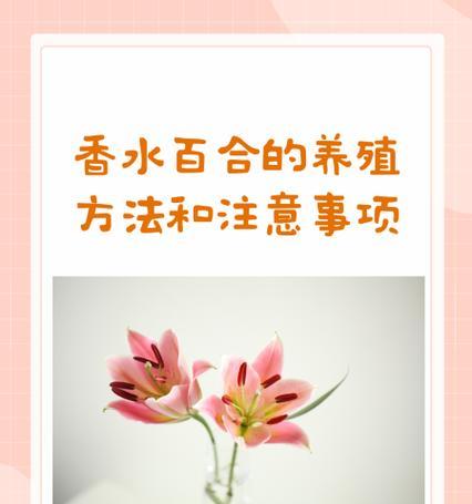 翻盆的正确步骤和注意事项是什么？