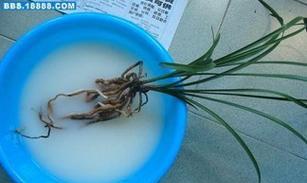 翻盆的正确步骤和注意事项是什么？
