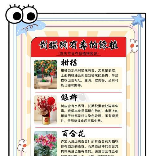 有哪些珍贵的花？如何辨别和养护？