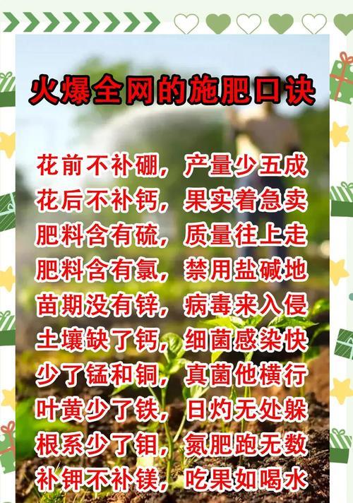 颗粒肥料给花怎么用？使用颗粒肥料的正确方法是什么？
