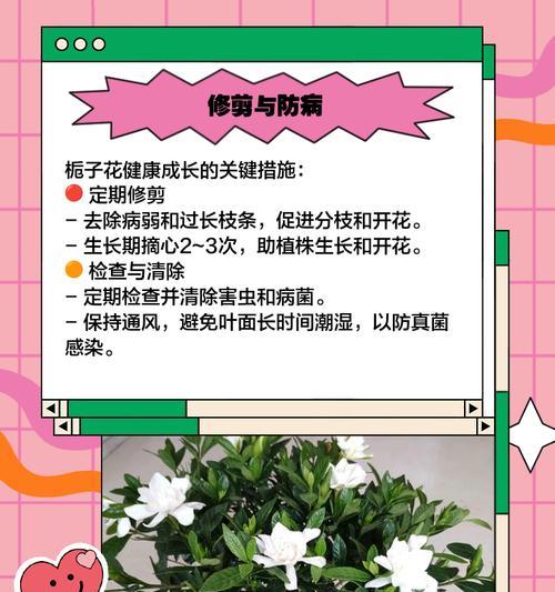 栀子花养护的好处有哪些？