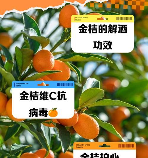 金桔品种有哪些？如何选择最佳的金桔品种？