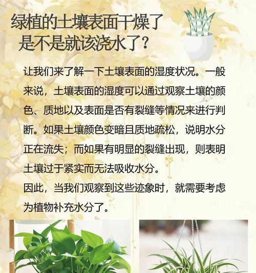 哪些植物需要频繁浇水？
