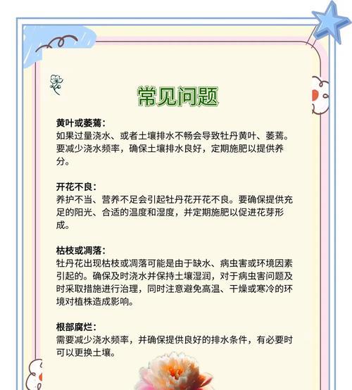 牡丹花冬季养护的要点是什么？