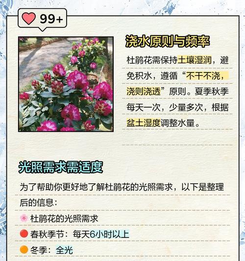 如何判断花卉是否需要浇水？有哪些技巧和方法？