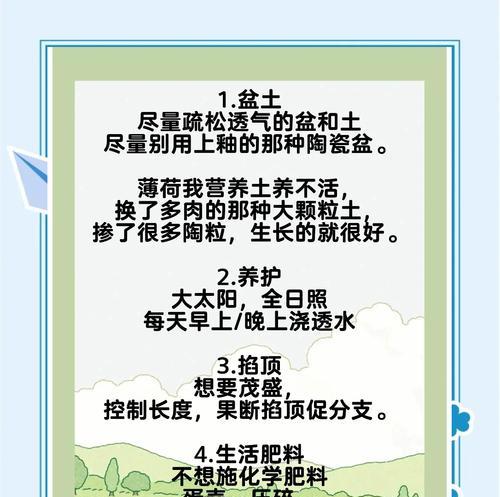 薄荷种植需要注意哪些事项？