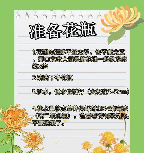菊花扦插需要注意哪些问题？