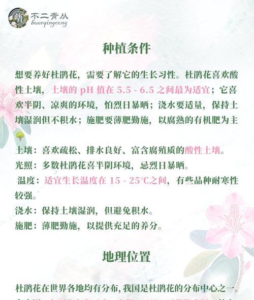 杜鹃花繁殖技巧与注意事项？