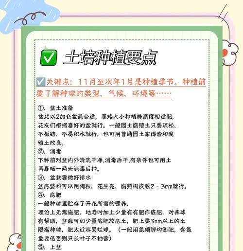 郁金香品种繁多如何挑选？郁金香的种植和养护要点是什么？