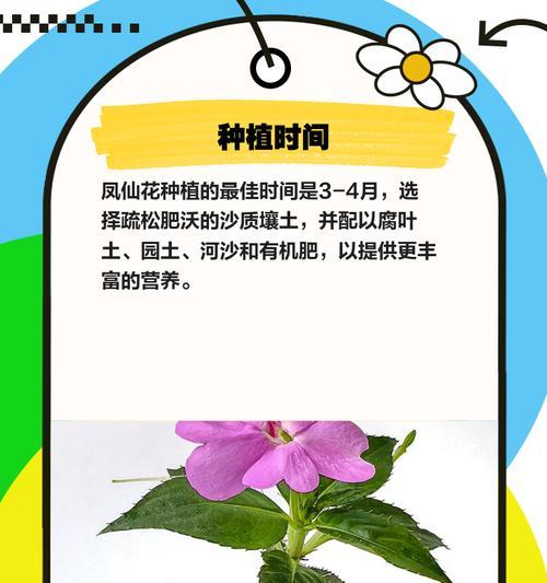 花种子催芽的正确步骤和技巧是什么？