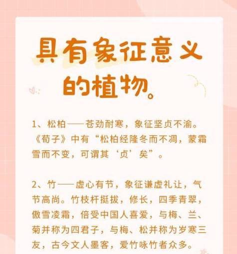 竹子代表的含义是什么？