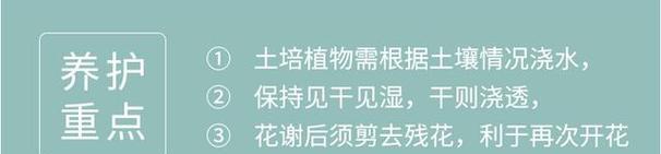 杜鹃施肥的最佳时机和技巧是什么？