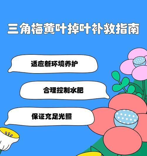 三角梅叶子干枯的原因是什么？如何进行有效救治？