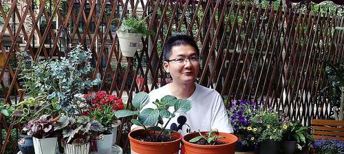 八仙花的养殖方法和注意事项有哪些？