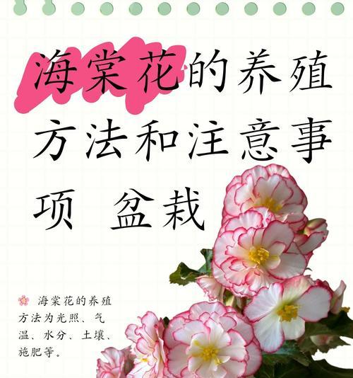 盆栽土壤最好用什么的？选择盆栽土壤的要点是什么？