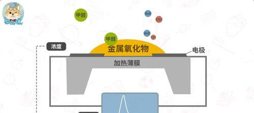 植物吸收甲醛的原理是什么？