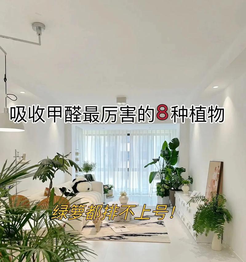 植物吸收甲醛的原理是什么？